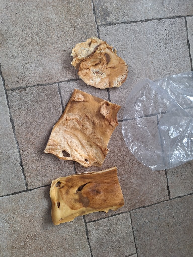 Runderkophuid platen XL, A-kwaliteit, voor de hond, Ophalen of Verzenden, Hond