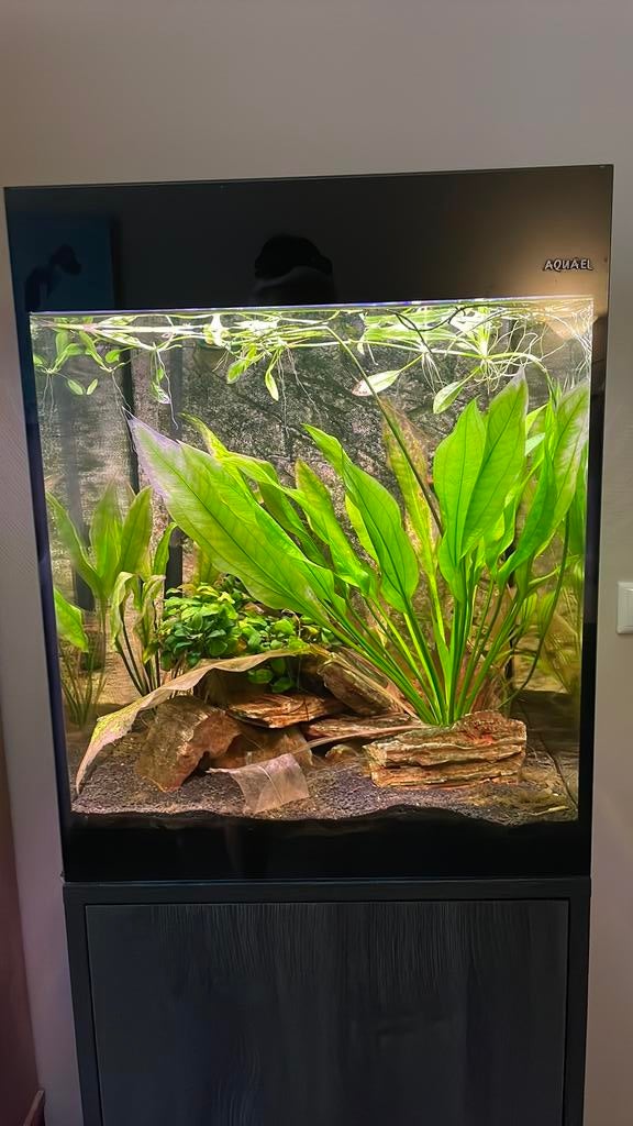 Aquarium met kast . Prachtig als nieuw, Ophalen of Verzenden, Zo goed als nieuw, Leeg aquarium