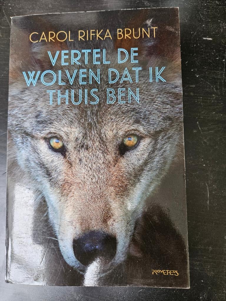 Carol Rifka Brunt - Vertel de wolven dat ik thuis ben, Ophalen of Verzenden, Gelezen