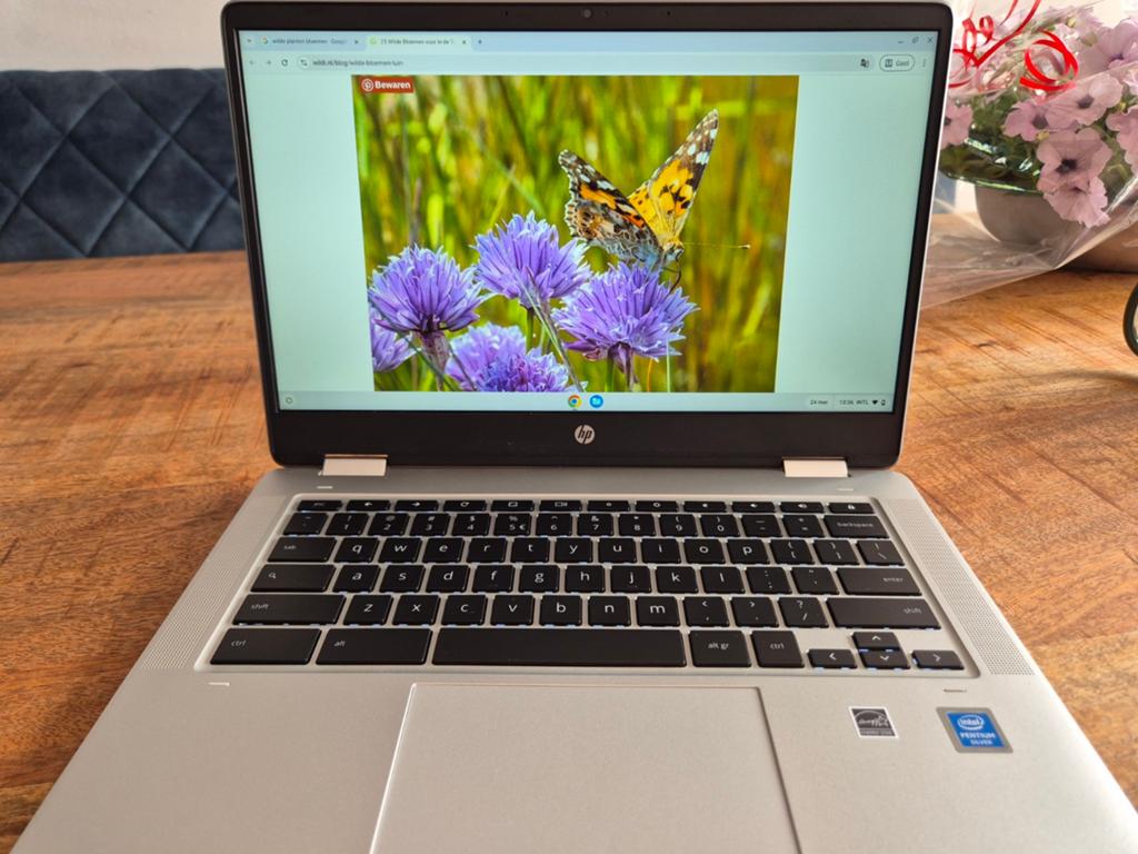 HP Chromebook x360 14a-ca0750nd 2-in-1 Touchscreen, 14 inch, 4 GB of minder, Qwerty, Touchscreen