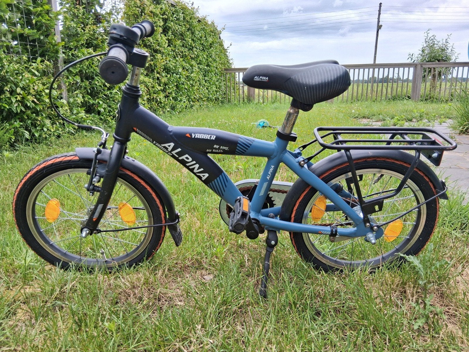 Kinderfiets 12 inch, Ophalen, Gebruikt, Minder dan 16 inch