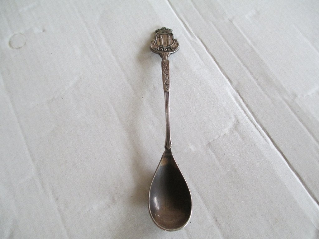 lepeltje wapen andel, Ophalen of Verzenden, Gebruikt, Rvs of Chroom