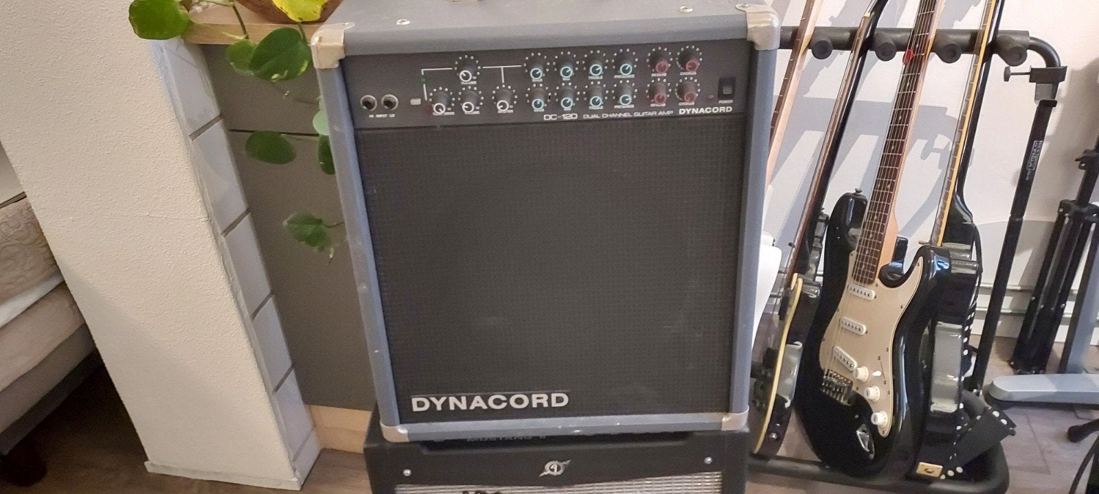 Gitaarversterker Dynacord Vintage, Ophalen, Gebruikt, Gitaar, 100 watt of meer