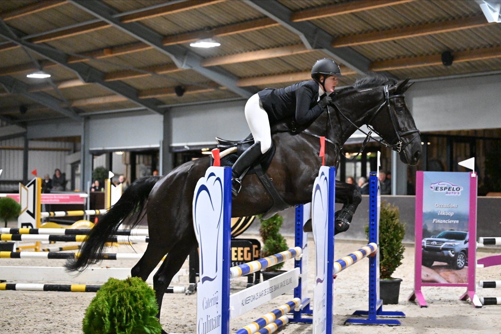 aangeboden ruiter die samenwerking springpaard wilt rijden, Ruiter of Bijrijder