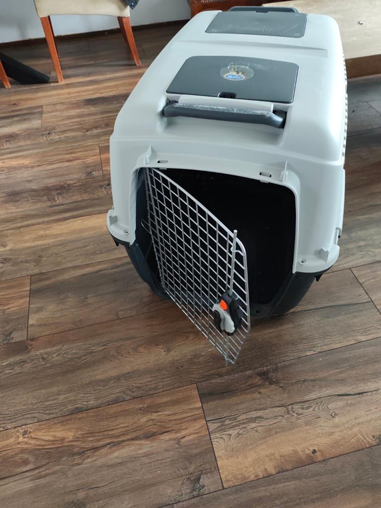 Honden transport doos, Dieren en Toebehoren, Ophalen