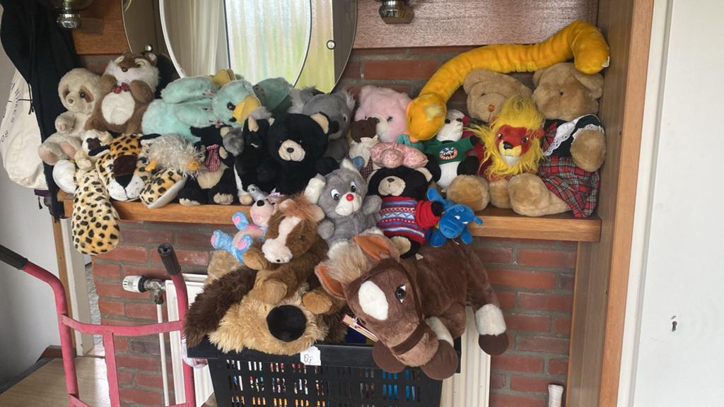 Allerlei knuffels in soorten en maten, Ophalen, Gebruikt, Overige typen