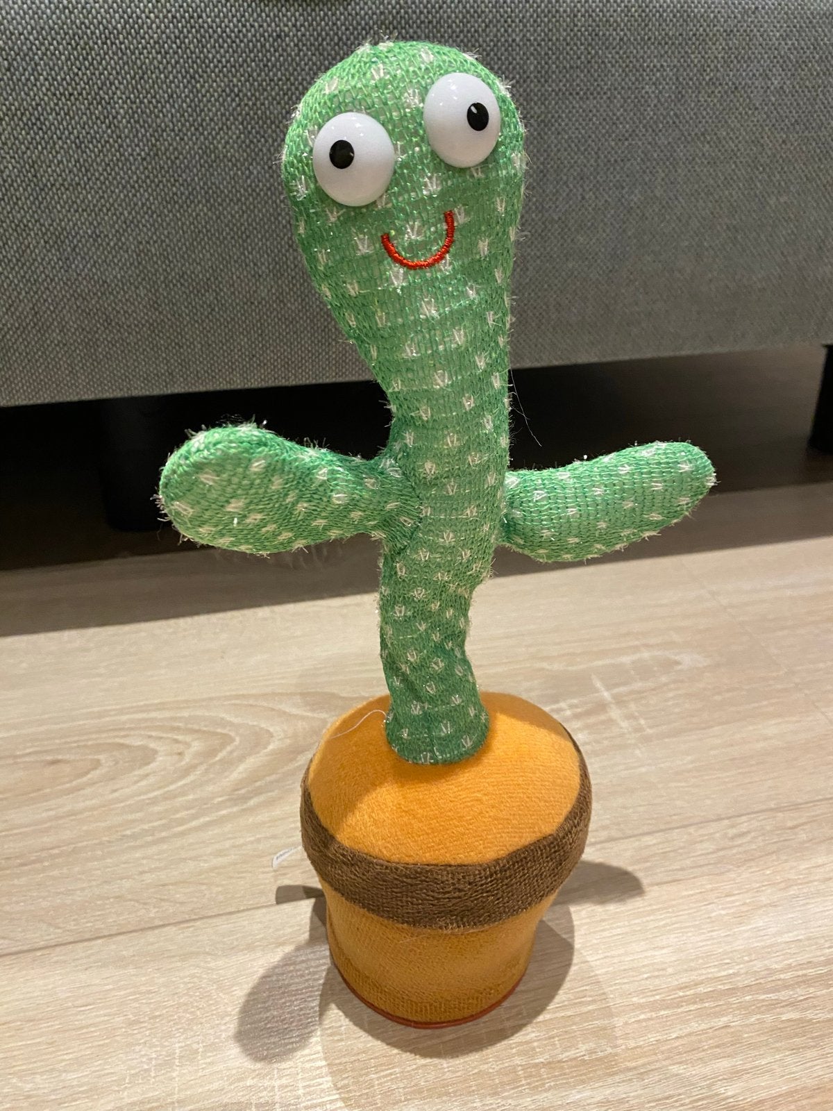 Dansende en zingende cactus knuffel, Groen, Overige merken, Met geluid, Overige karakters