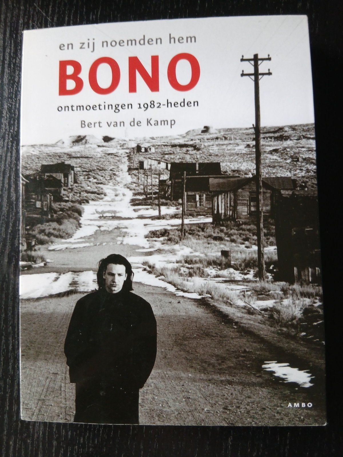 Bert van de Kamp - En zij noemden hem Bono, Artiest, Zo goed als nieuw, Bert van de Kamp, Ophalen of Verzenden