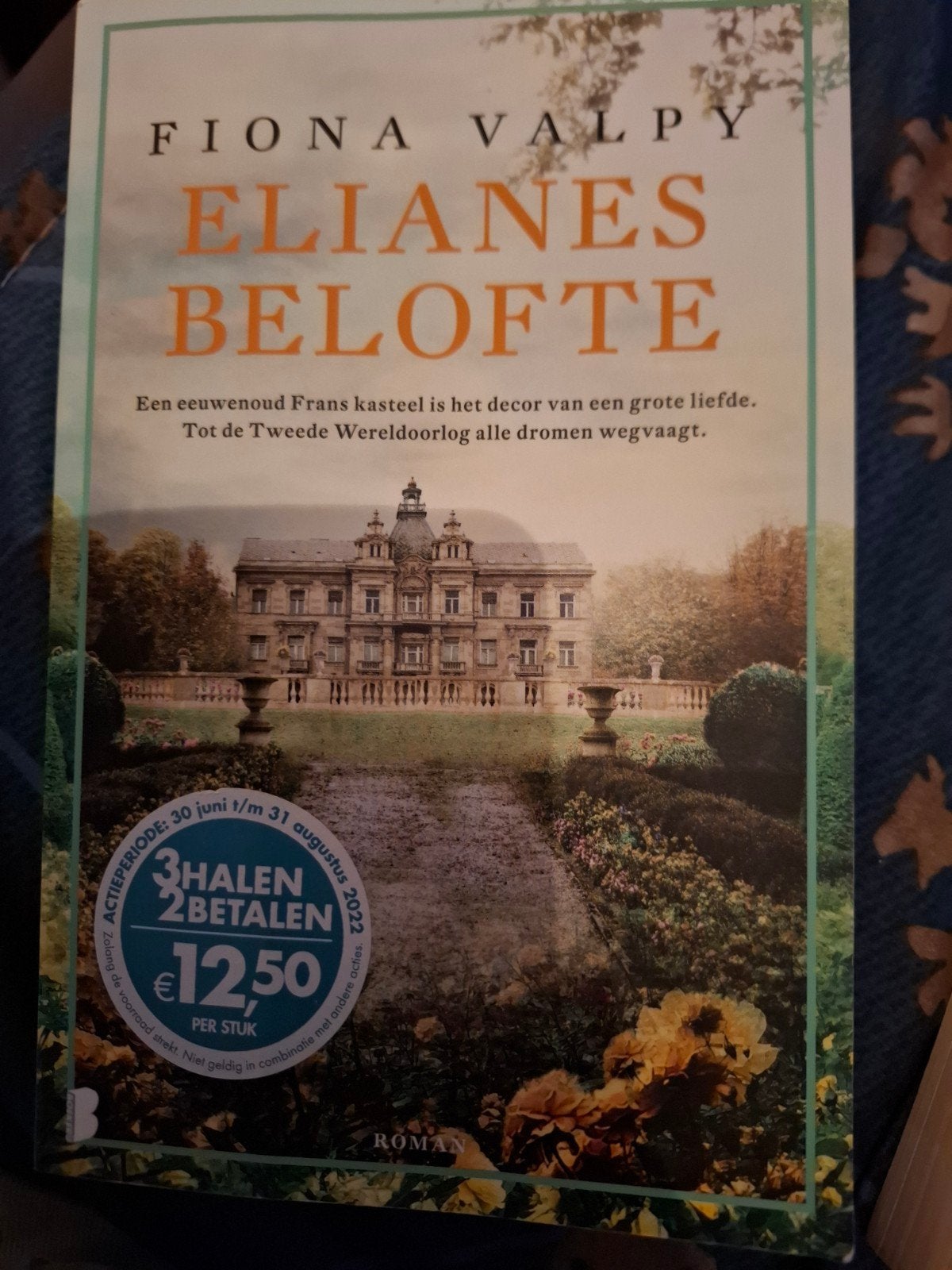 Elianes Belofte - Fiona Valpy (Roman), Ophalen of Verzenden, Gelezen, Fiona Valpy, Europa overig