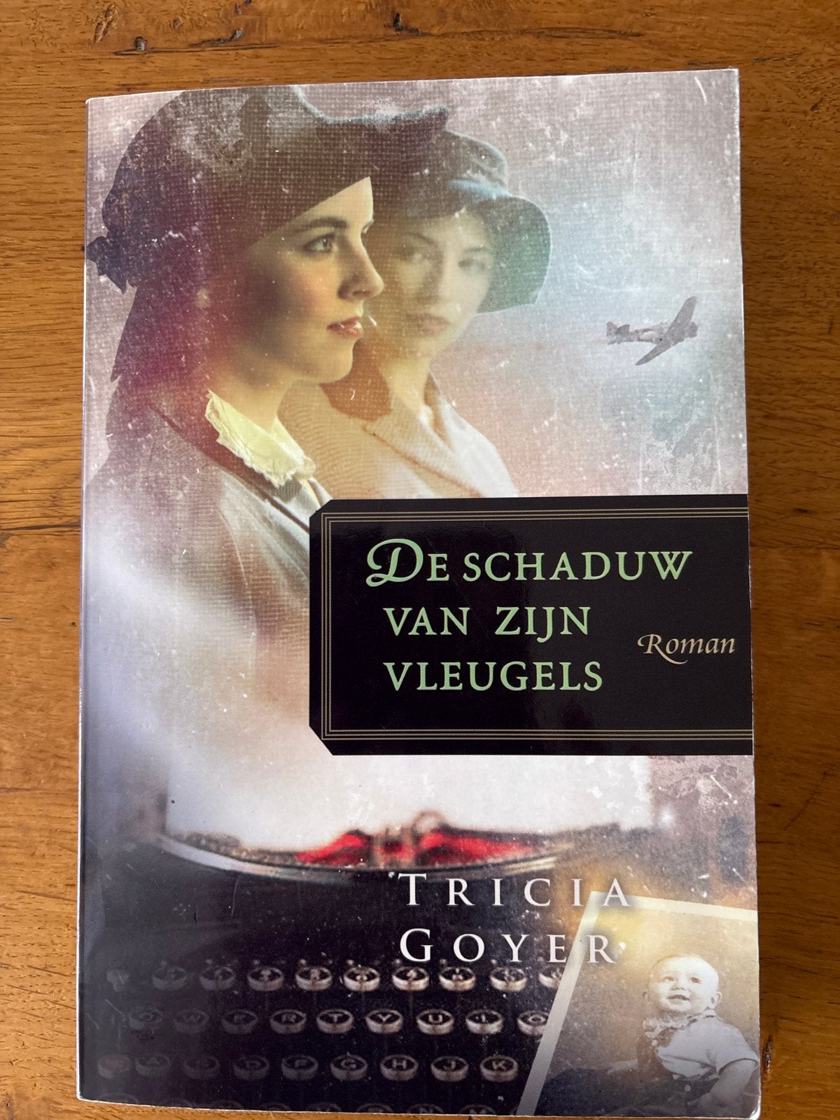 De Schaduw van Zijn Vleugels - Tricia Goyer Roman, Boeken, Romans, Ophalen of Verzenden, Zo goed als nieuw, Nederland