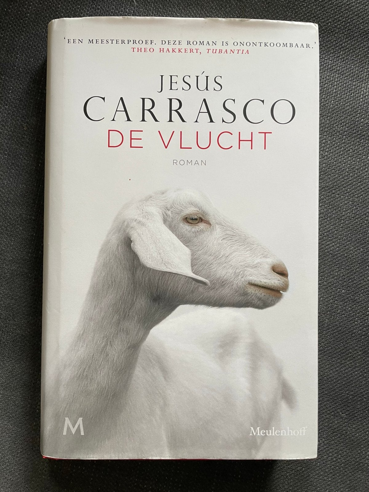 De Vlucht - Jesús Carrasco (Roman), Ophalen of Verzenden, Zo goed als nieuw, Europa overig