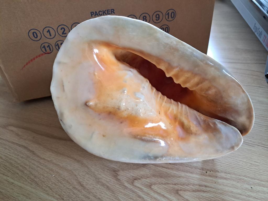 Schelpen oud, Ophalen, Zo goed als nieuw