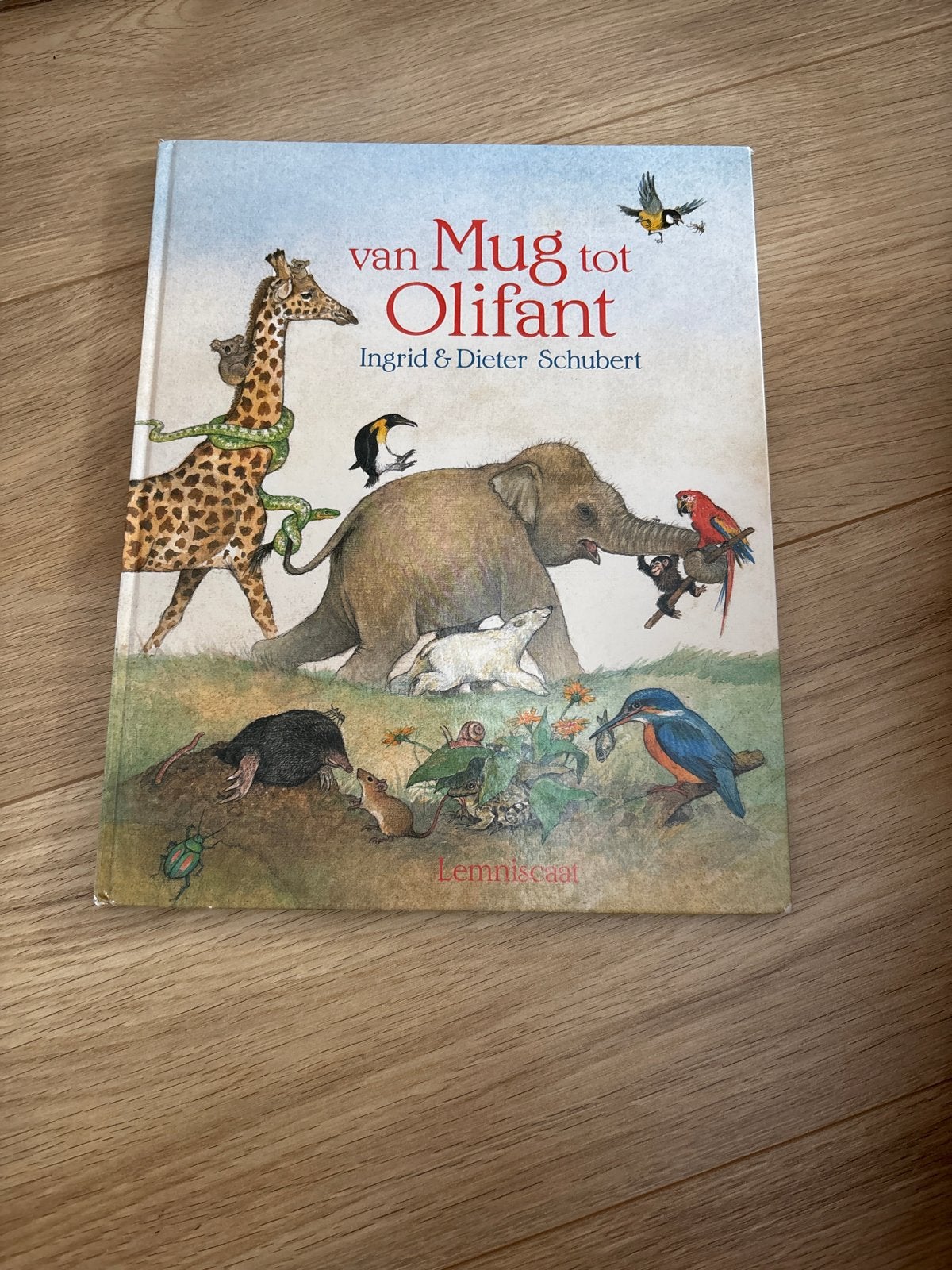 Prentenboek van Mug tot Olifant - Ingrid & Dieter Schubert, Ophalen of Verzenden, Zo goed als nieuw, Prentenboek