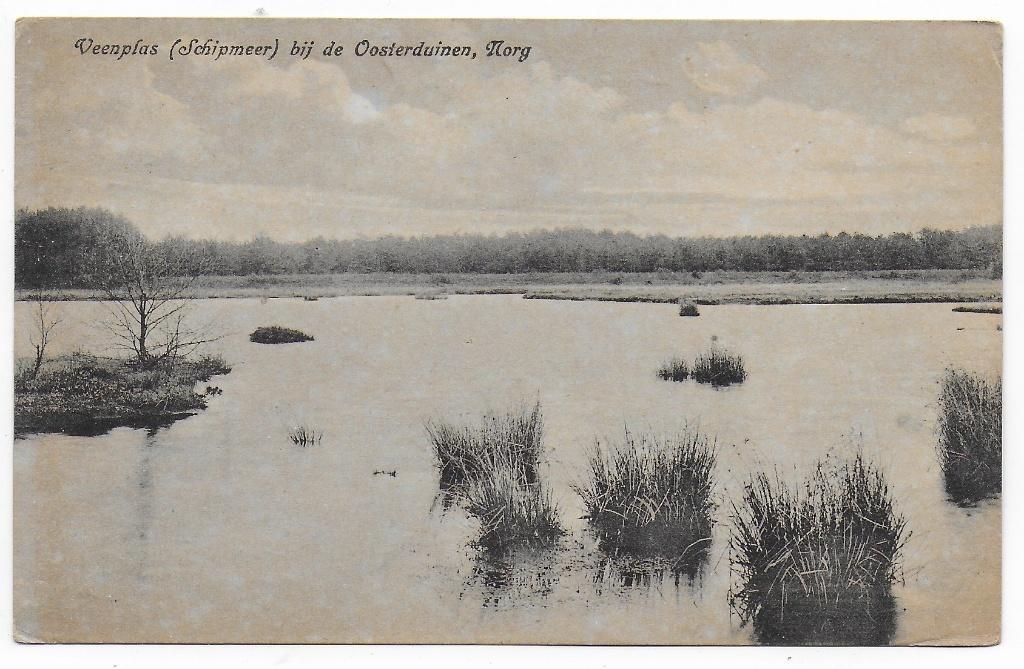 Norg veenplas Schipmeer Oude Ongelopen Ansichtkaart  (B8305), Ophalen of Verzenden, 1920 tot 1940, Gelopen