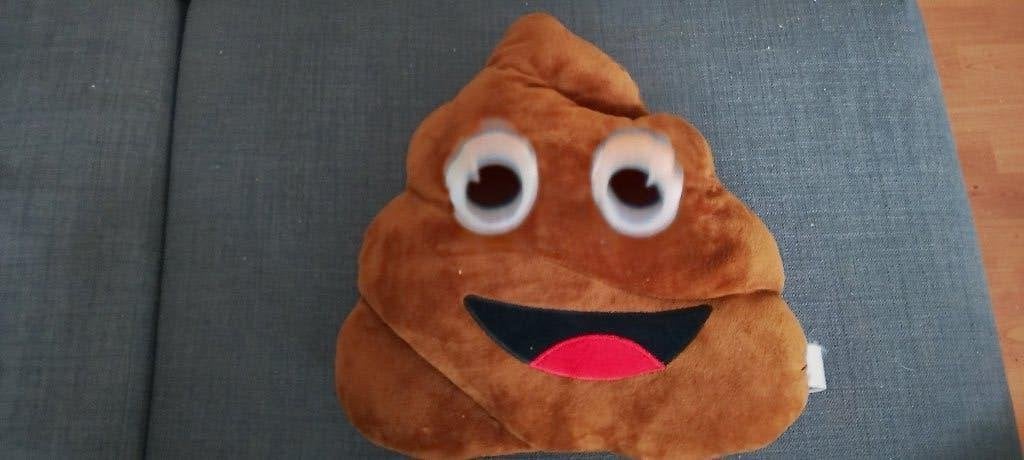 Leuk kussentje €1, Ophalen, Bruin, Zo goed als nieuw, Overige typen