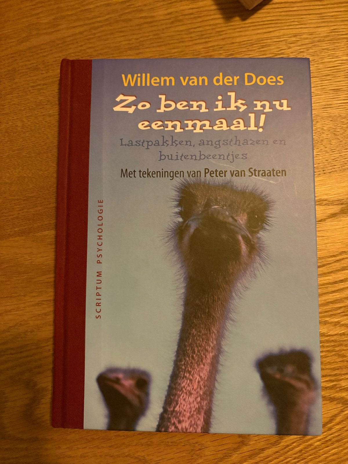 Willem van der Does - Zo ben ik nu eenmaal! Psychologieboek, Ophalen of Verzenden, Zo goed als nieuw, Klinische psychologie