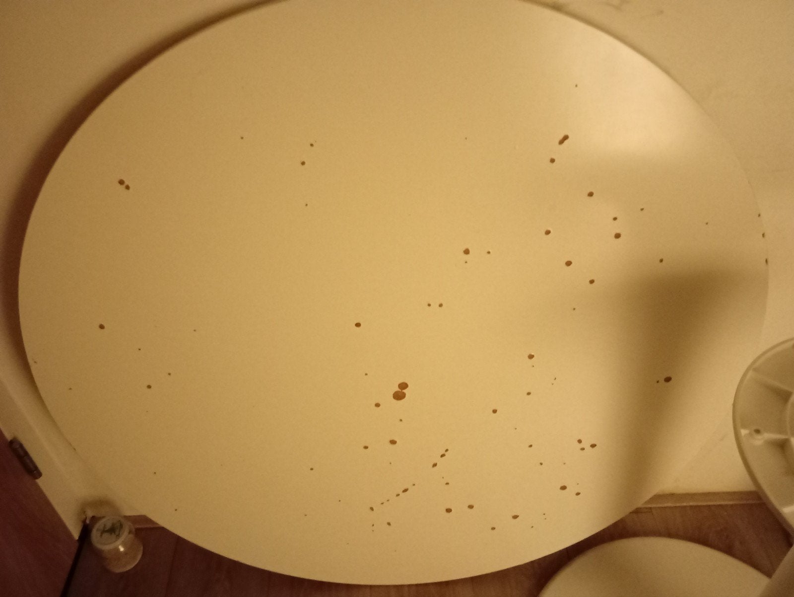 Ronde tafelblad en trompetvoet (wit), Huis en Inrichting, Tafelonderdelen, Kunststof, Gebruikt, 50 tot 100 cm, Rond