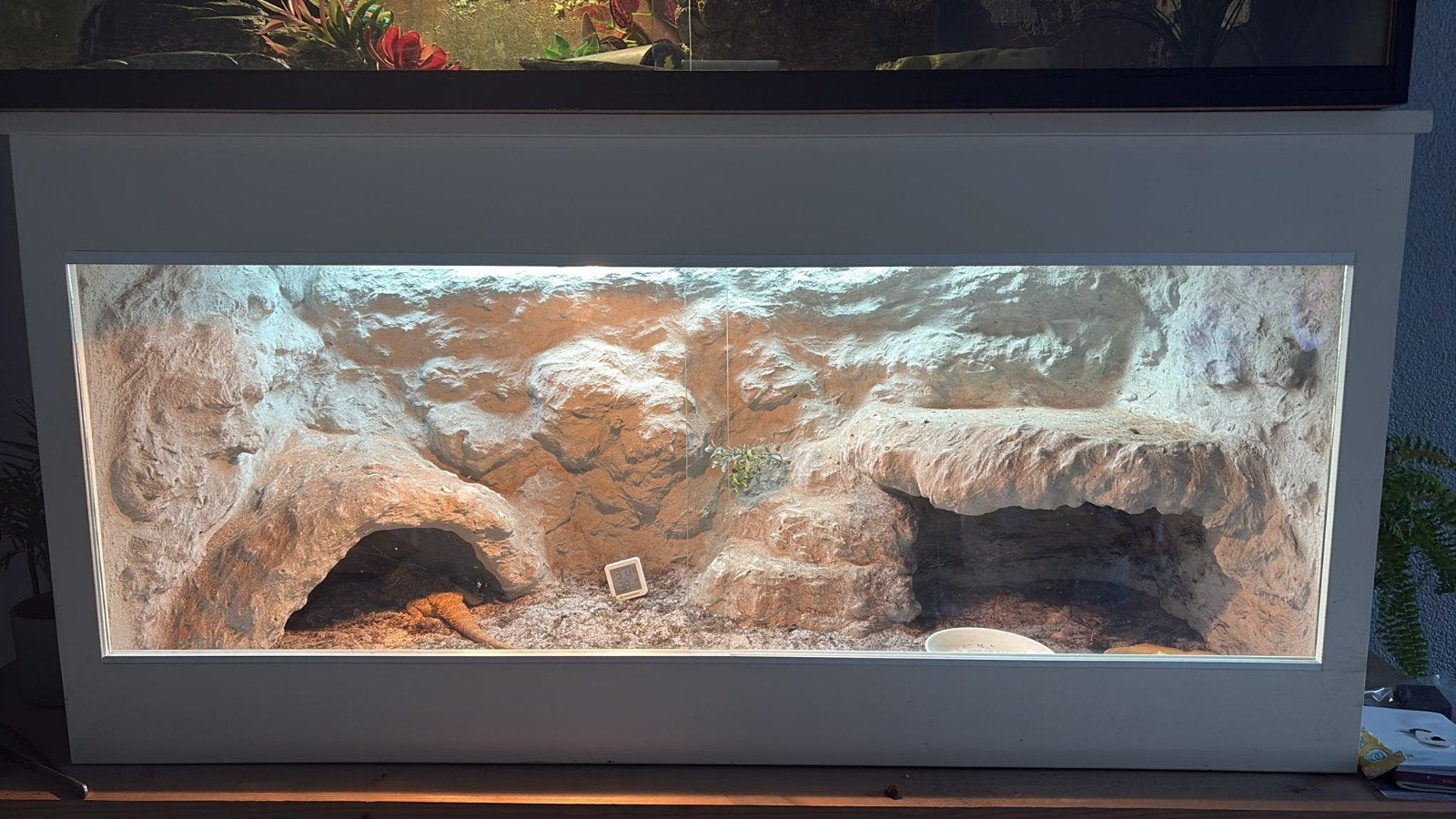 terrarium, Dieren en Toebehoren, Ophalen, Zo goed als nieuw