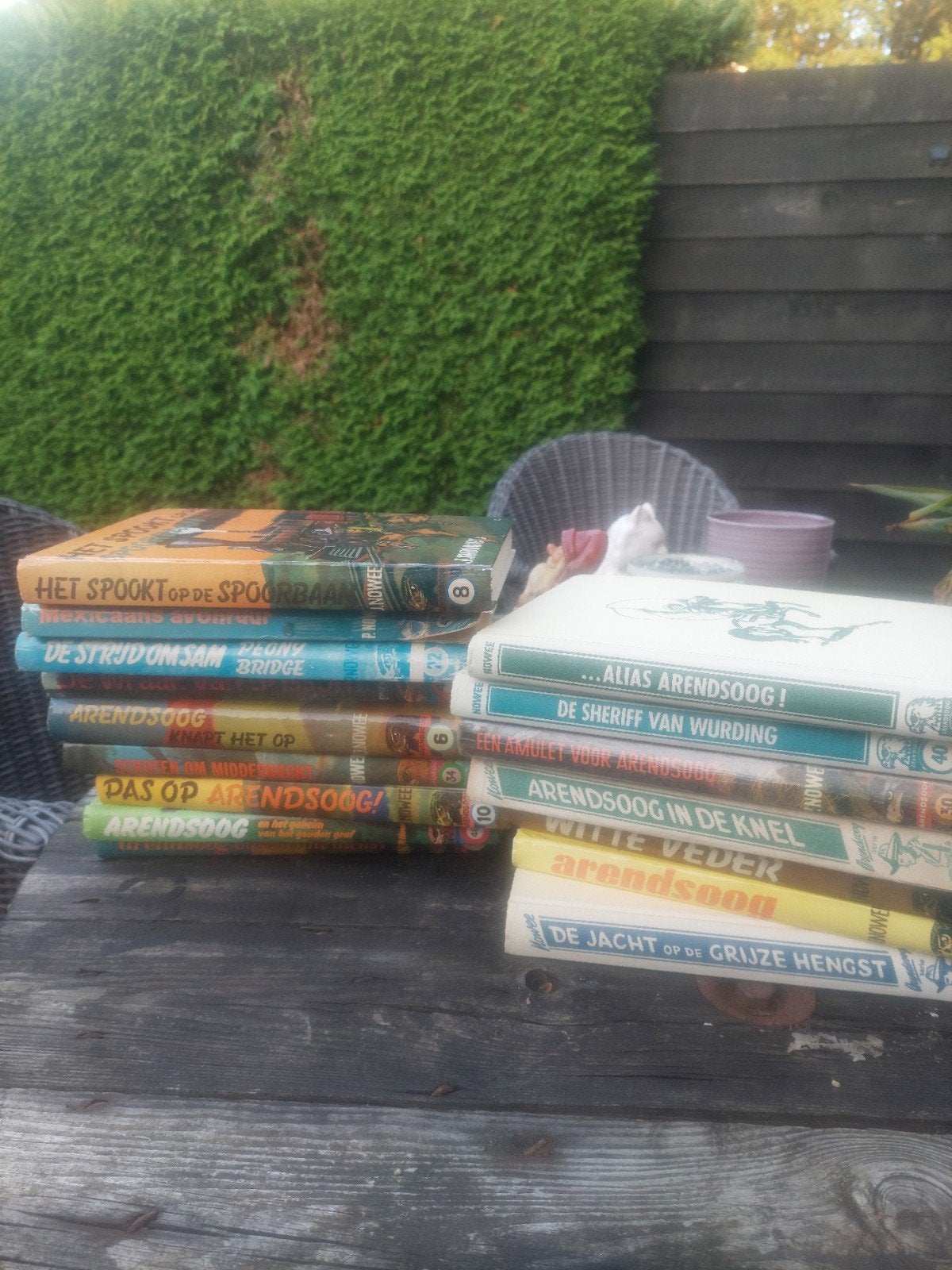 Boeken Arendsoog 16 boeken 10 euro, Boeken, Ophalen of Verzenden