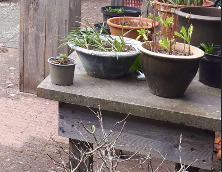 Gratis tuintafel, oppottafel betonnen blad, Ophalen, Gebruikt, Rechthoekig, Overige materialen