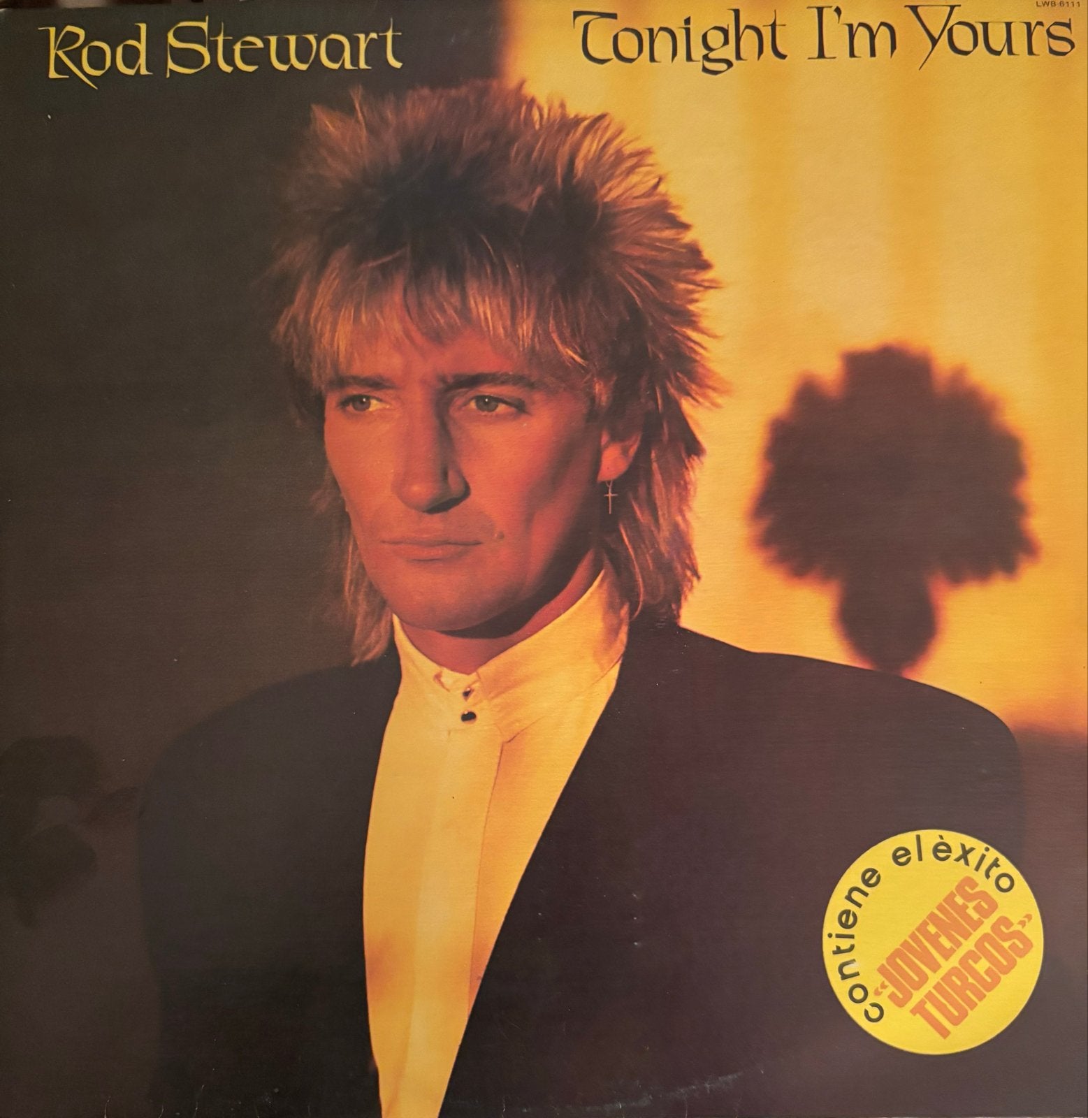 LP Rod Stewart - Tonight I'm Yours (1981), Ophalen of Verzenden, 1980 - 1989, Gebruikt, 12 inch