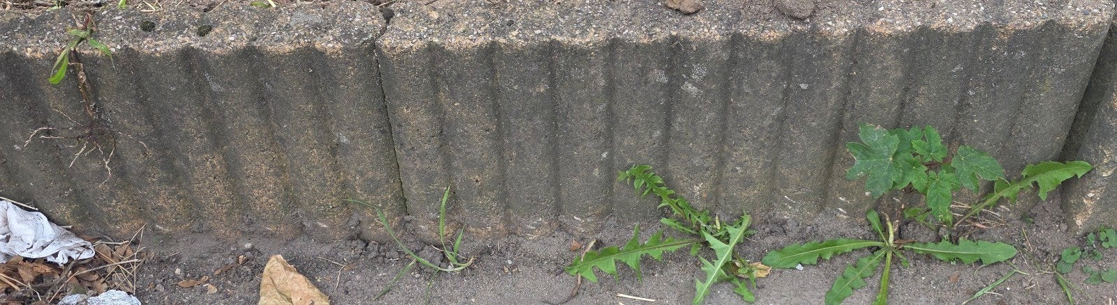 Betonnen border/palissade - gratis, Tuin en Terras, Ophalen, Gebruikt, 25 tot 50 cm, 25 cm of meer