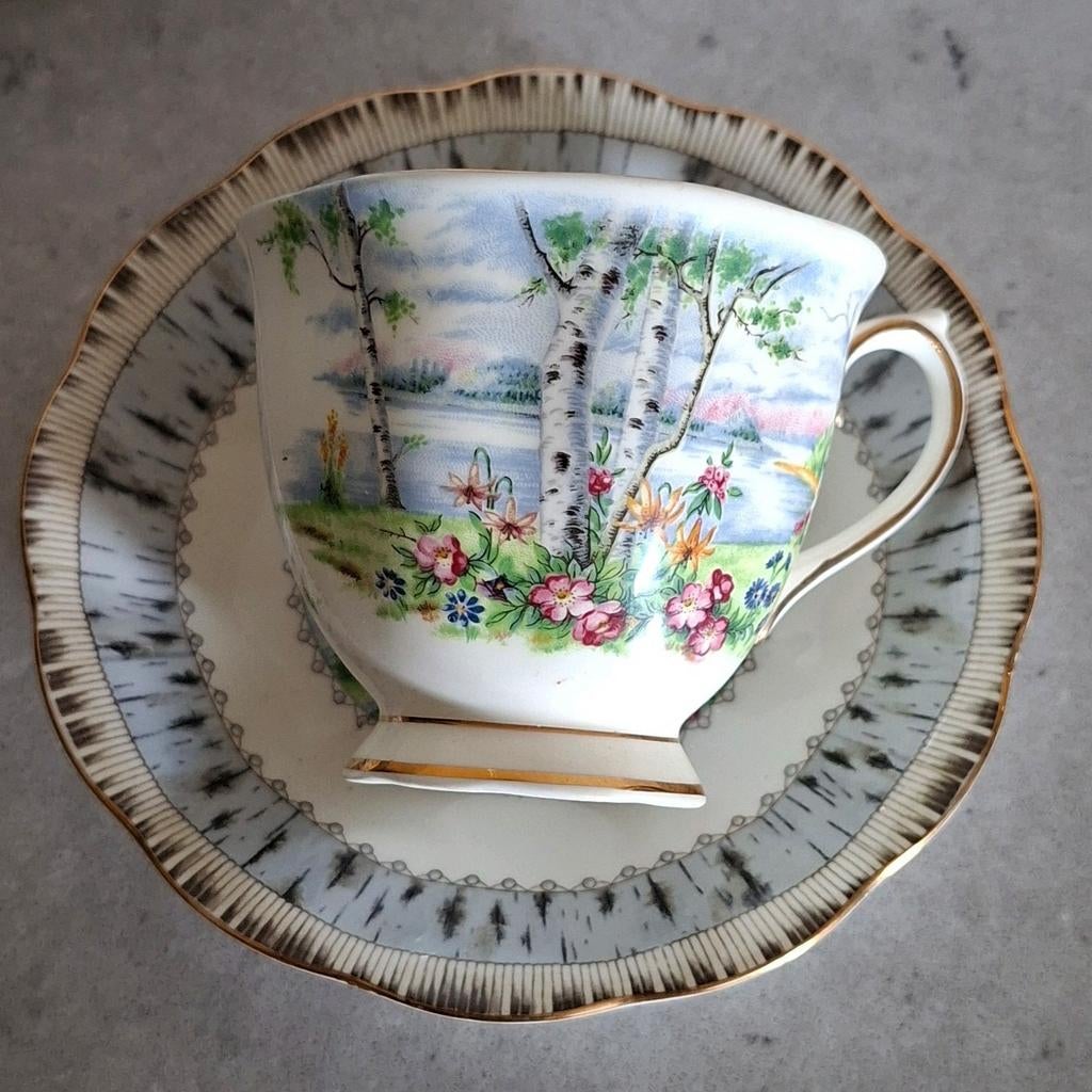 Royal Albert Silver Birch – Heren Kop en Schotel, Ophalen of Verzenden