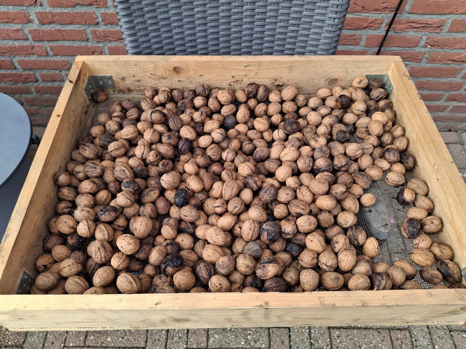 Verse walnoten, Ophalen