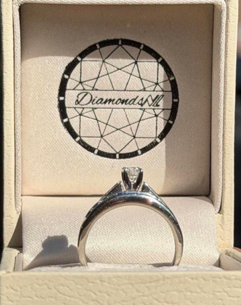 Witgouden ring met 20 natuurlijke diamanten en certificaat!, Nieuw, Ophalen of Verzenden, Kleiner dan 17, Met edelsteen