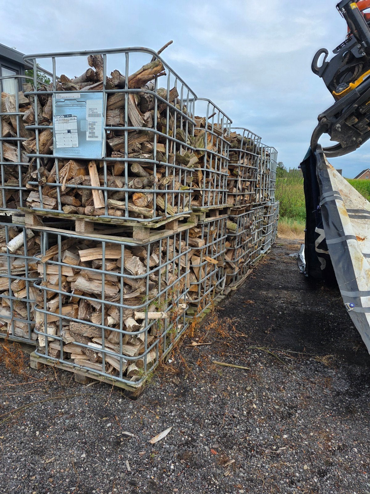 Gekloofd brandhout - eiken/berk/essen hout, 6 m³ of meer, Ophalen, Berkenhout, Blokken
