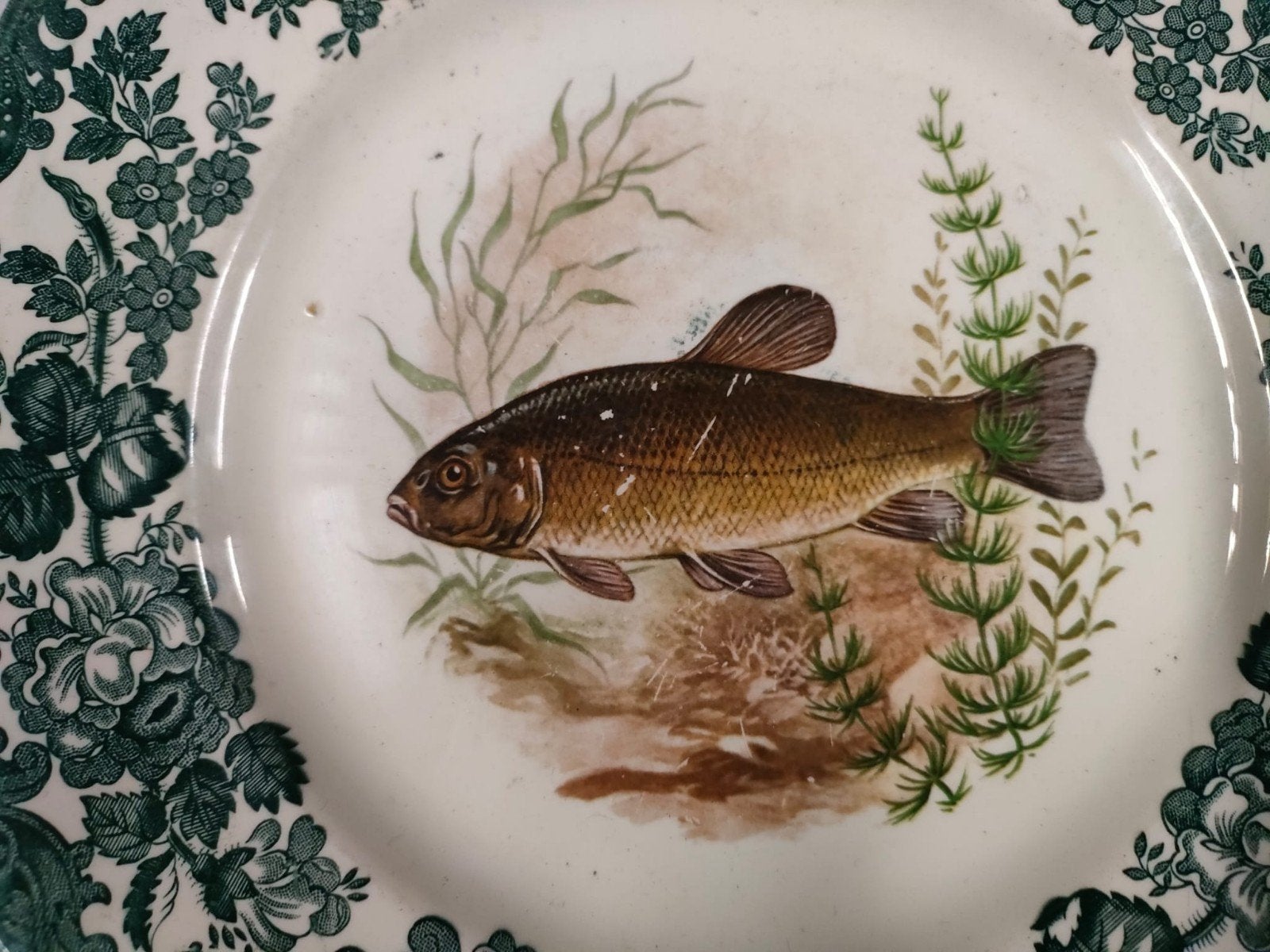 6 Palissy Game Series Fish Borden - Royal Worcester, Gebruikt, Overige merken, Keramiek, Vintage