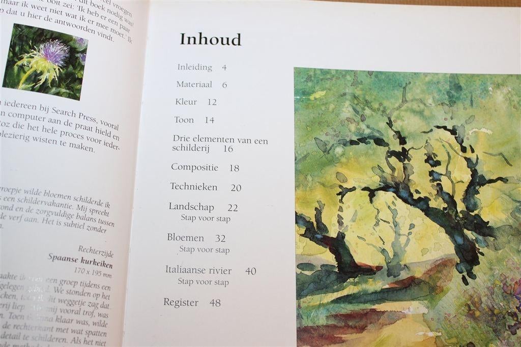 Schilderen met Gouache — Techniek en Voorbeelden, Boeken, Ophalen of Verzenden, Gelezen, Tekenen en Schilderen