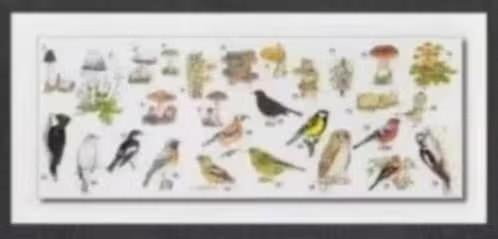 Vogels Paddenstoelen Uil Specht Vink Merel Elfenbankje., Ophalen of Verzenden, 1980 tot heden, Ongelopen, Vogel