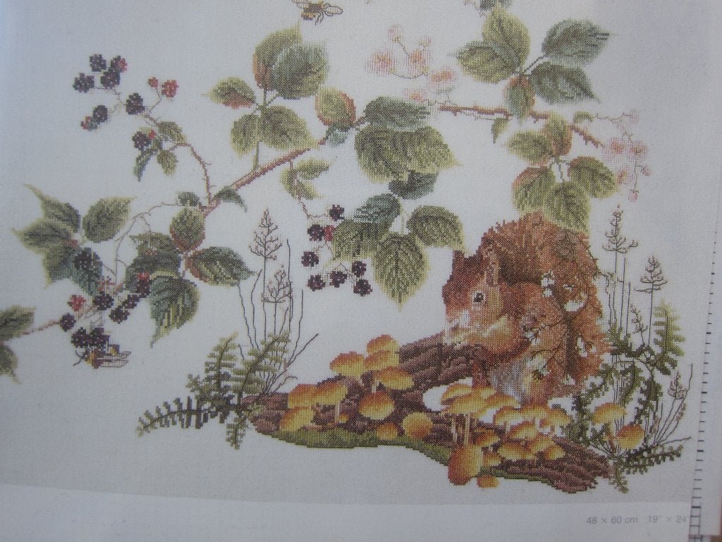 borduurpatroon FAZANTEN en fazantenveer wilde dieren, Ophalen of Verzenden, Zo goed als nieuw, Handborduren, Patroon