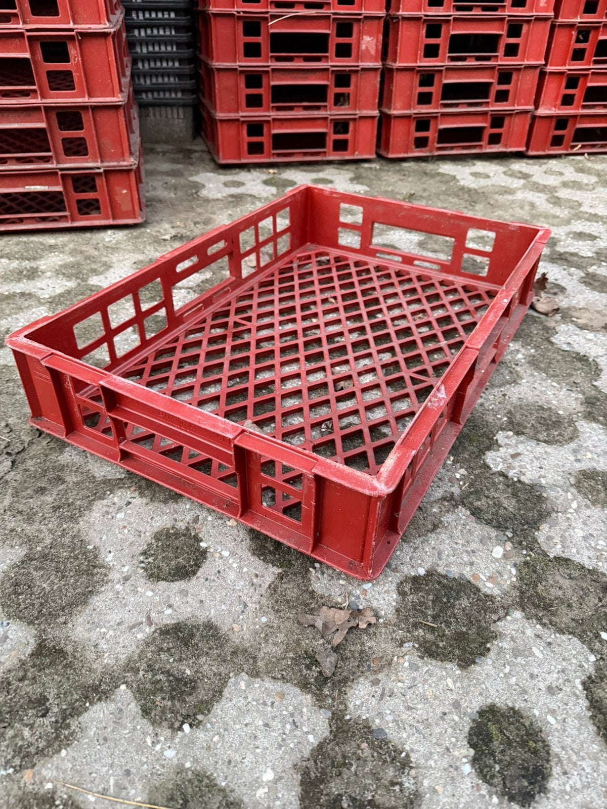 Kunststof kratten stapelbaar, Gebruikt, 40 tot 60 cm, 50 tot 75 cm, Minder dan 35 cm