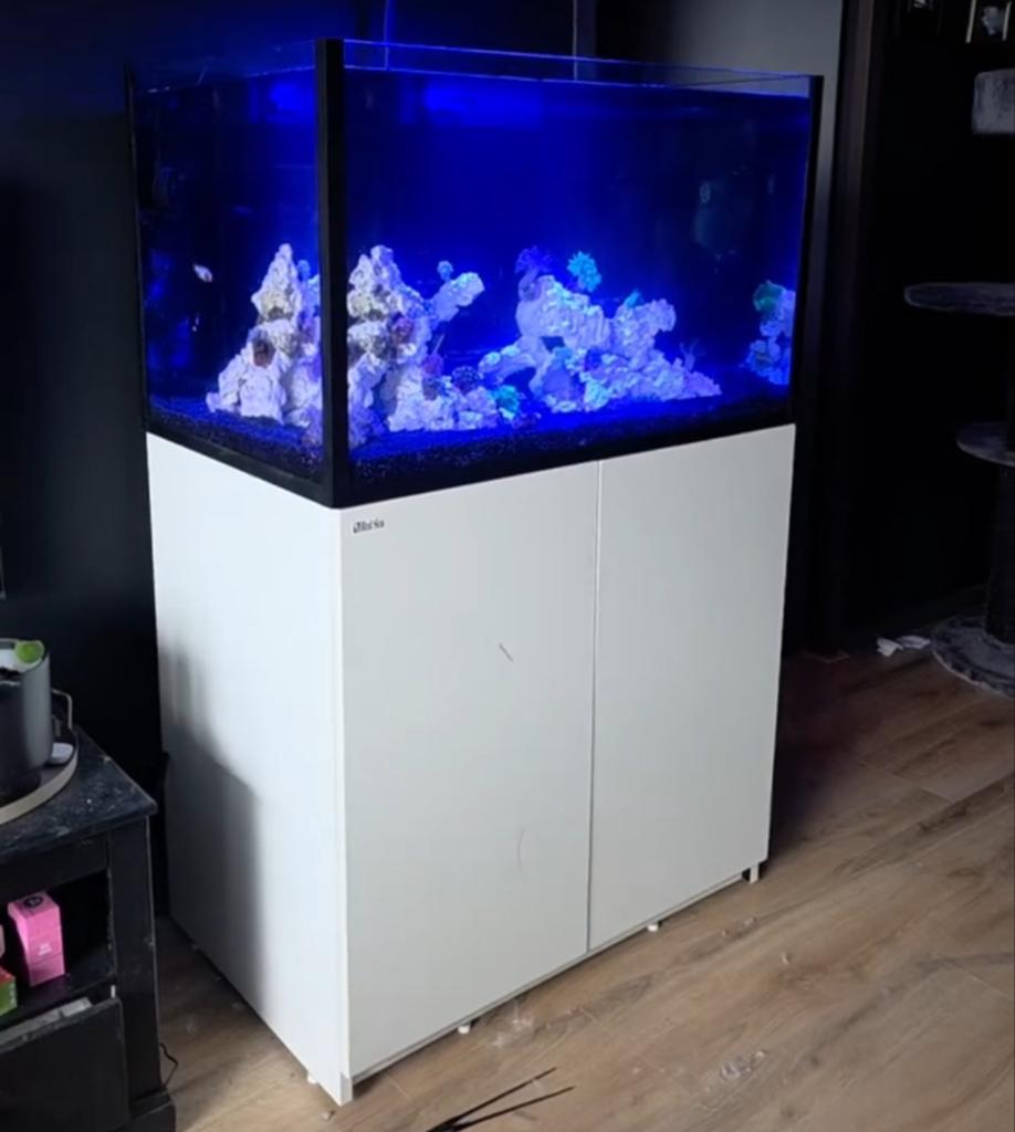Red Sea Reefer 300XL Zeeaquarium – Complete High-End Set, Ophalen, Leeg aquarium