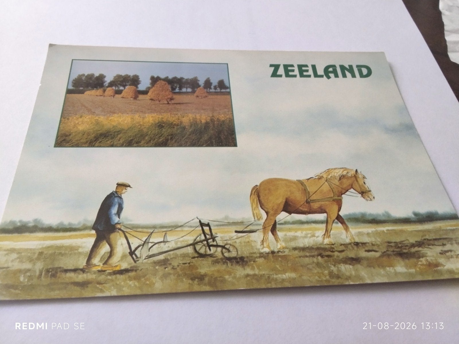 Ansichtkaart Zeeland - Ploegende boer met paard, Ophalen of Verzenden, Zeeland