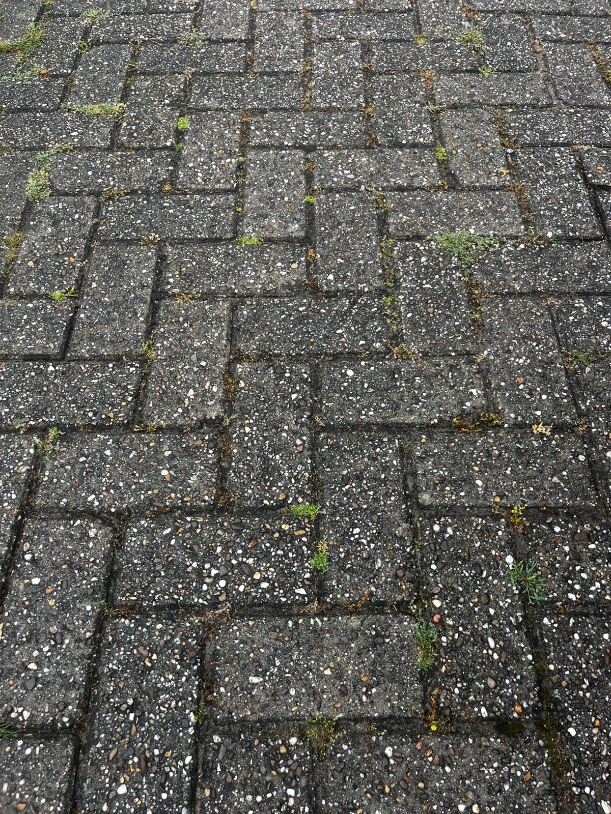 Gebruikte klinkers, Ophalen, Gebruikt, Beton, Klinkers