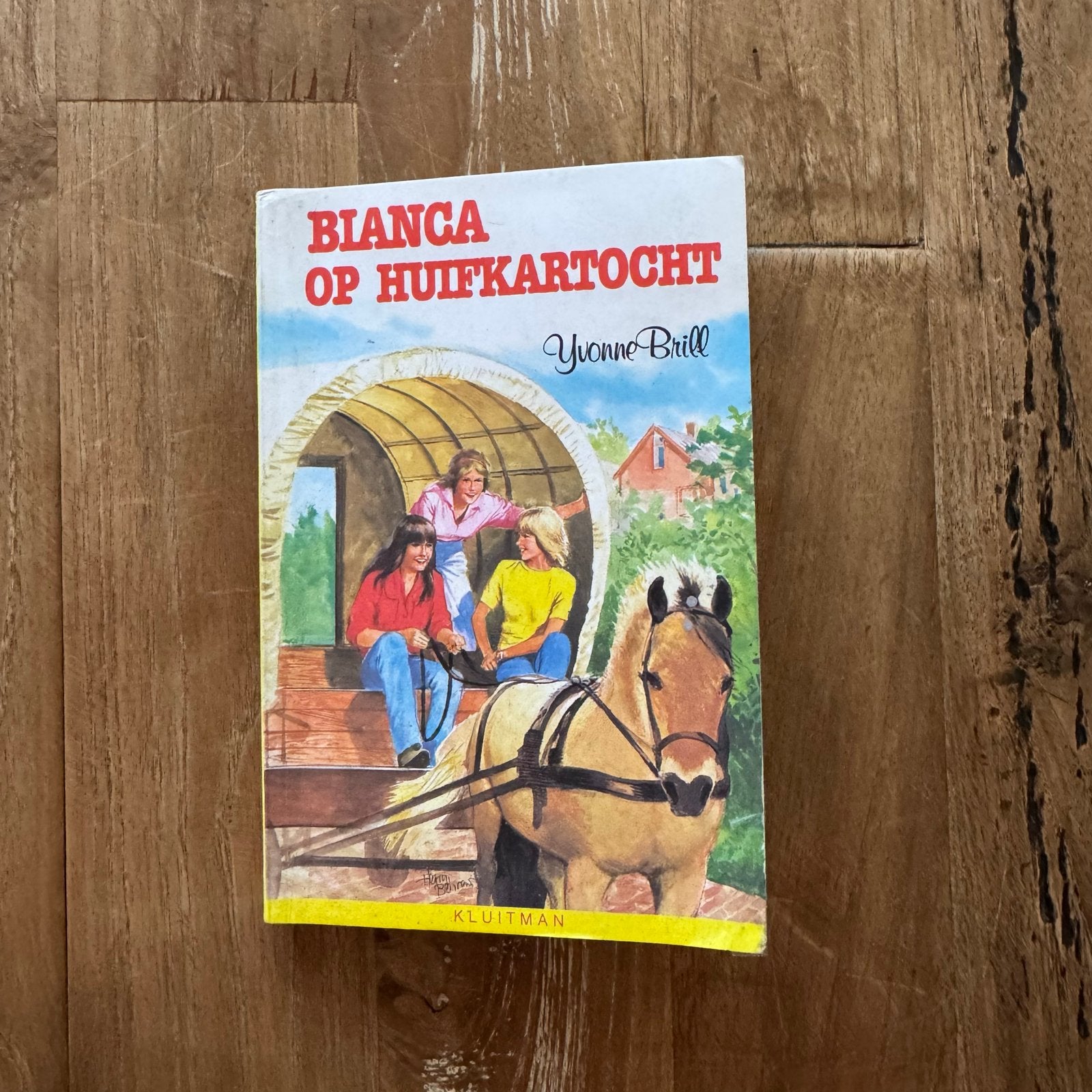 Yvonne Brill - Bianca op huifkartocht, Ophalen of Verzenden, Gelezen, Yvonne Brill, Fictie algemeen