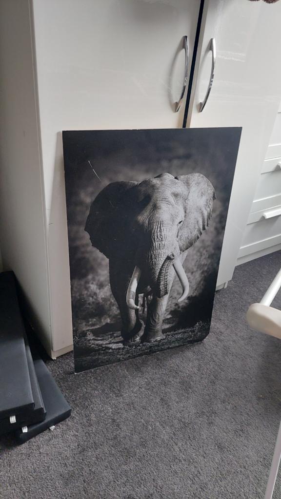 Zwart-wit olifant canvas schilderij, Gebruikt, Ophalen of Verzenden, Schilderij, 75 cm of meer