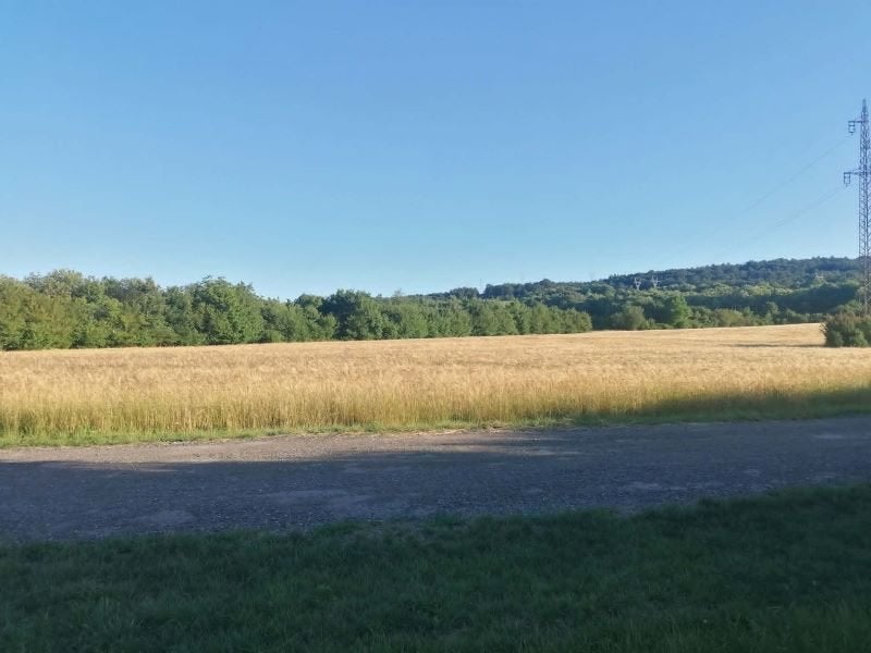 2,5 hectare bouwgrond aan de rand van het bos nabij de stad., Huizen en Kamers, Buitenland, Overige soorten, Overig Europa, Stad