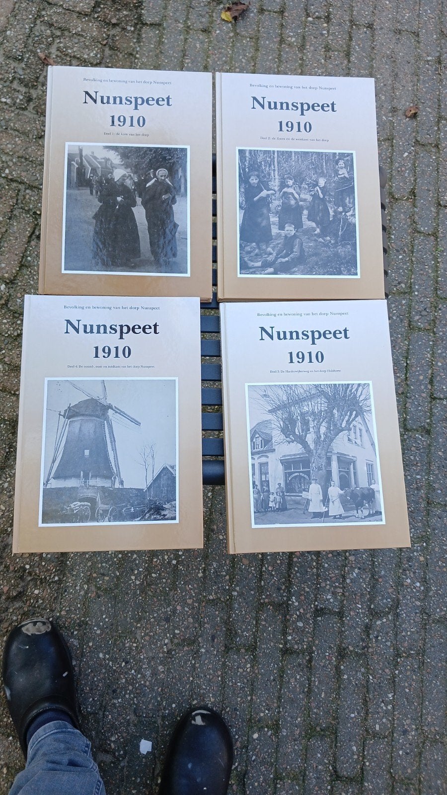 Nunspeet 1910 - Bevolking en bewoning van het dorp, Ophalen of Verzenden, 20e eeuw of later, Zo goed als nieuw