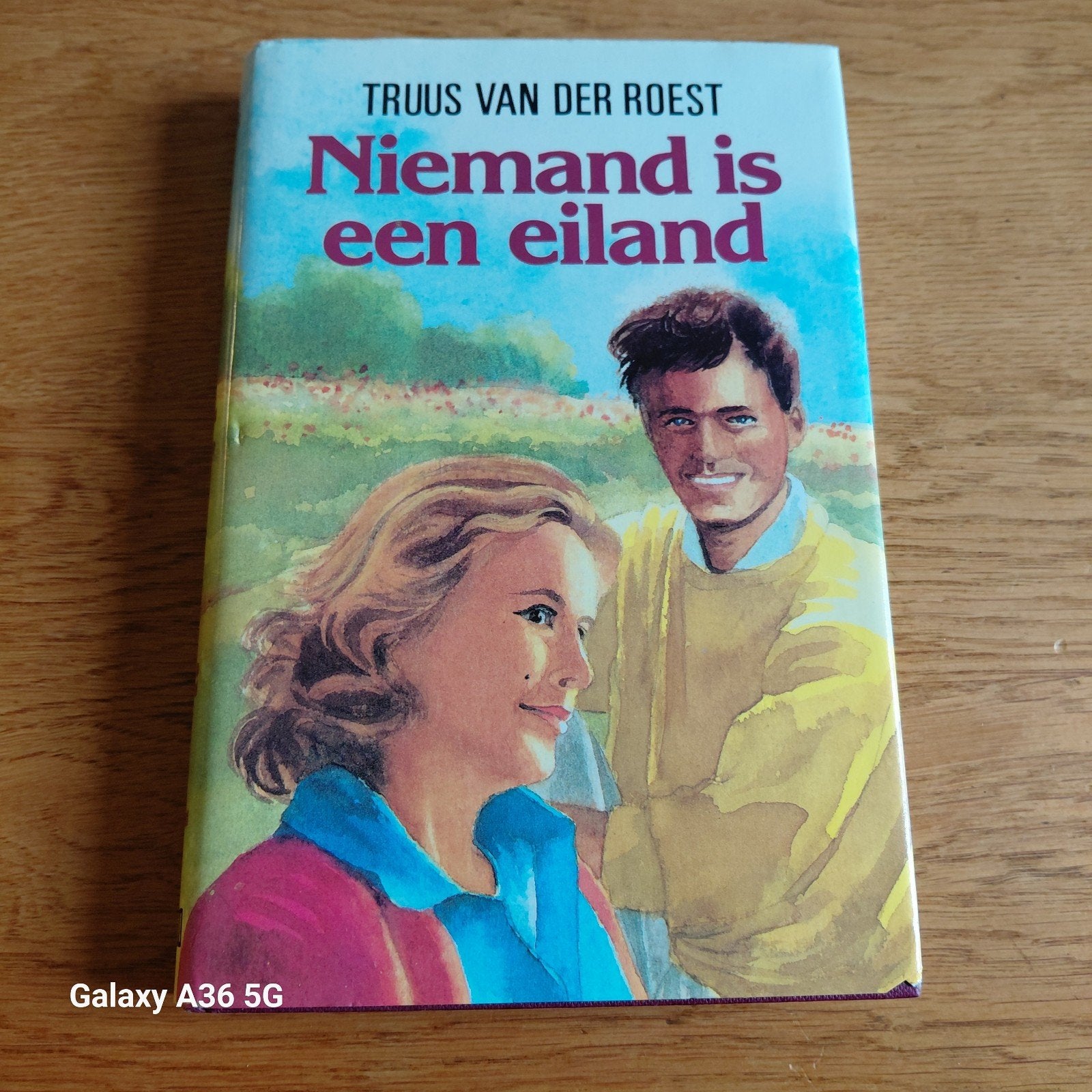 Niemand is een eiland - Truus van der Roest, Boeken, Ophalen of Verzenden, Gelezen, Truus van der Roest, Nederland