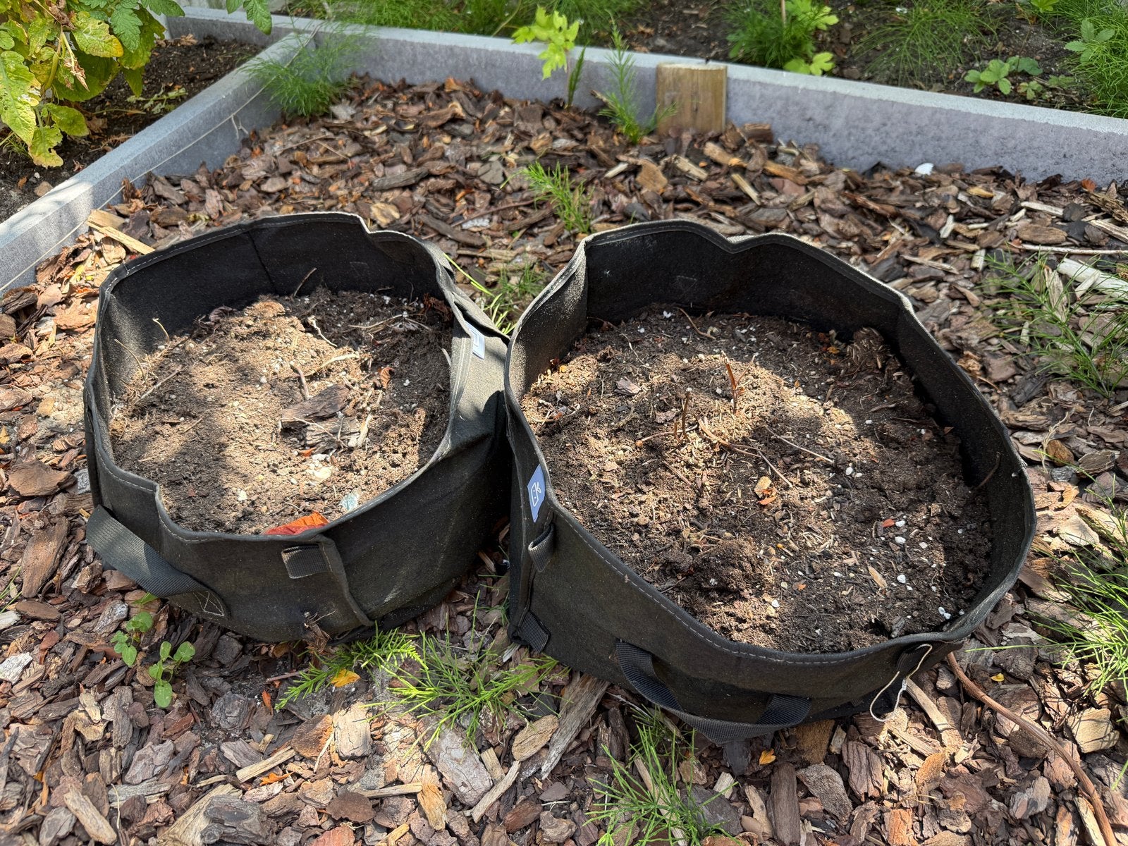 Twee MM-mini’s (growbags) van de Makkelijke Moestuin, Ophalen, Overige materialen, Gebruikt, Minder dan 30 cm