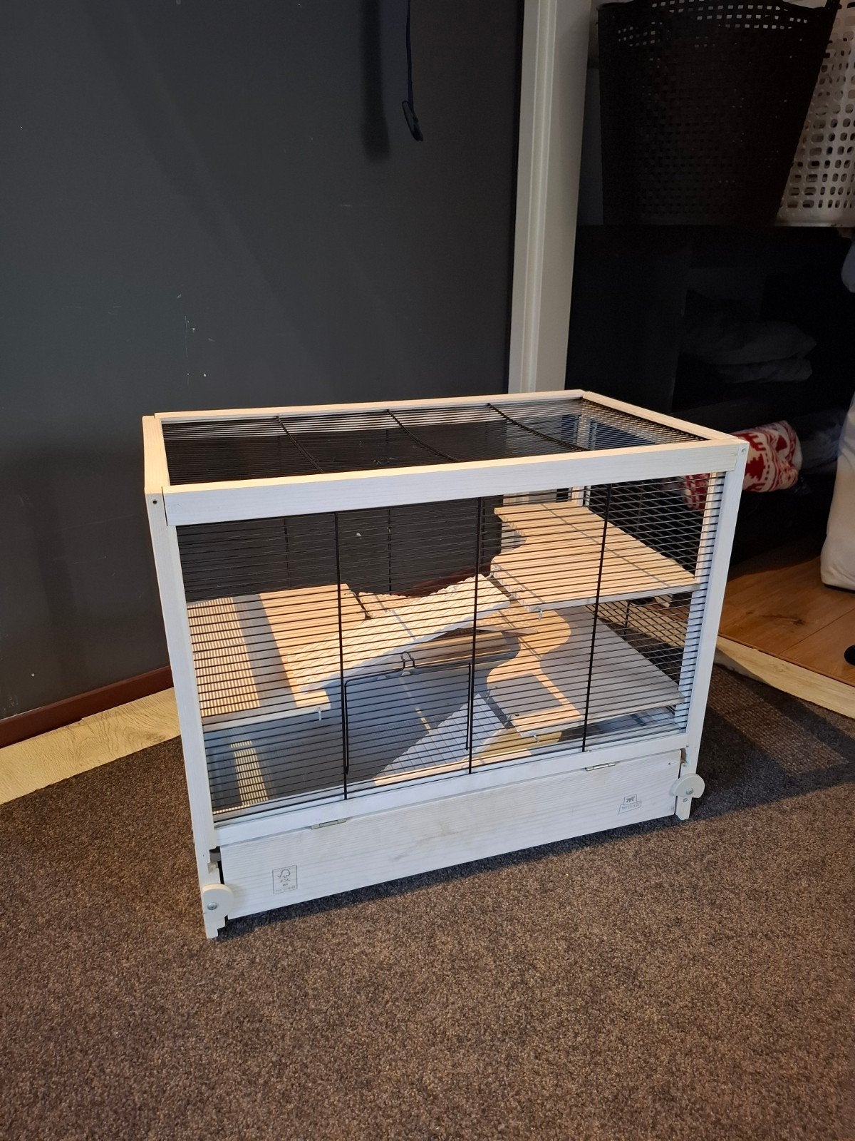 Hamsterkooi gloednieuw, nooit gebruikt., Ophalen, Nieuw