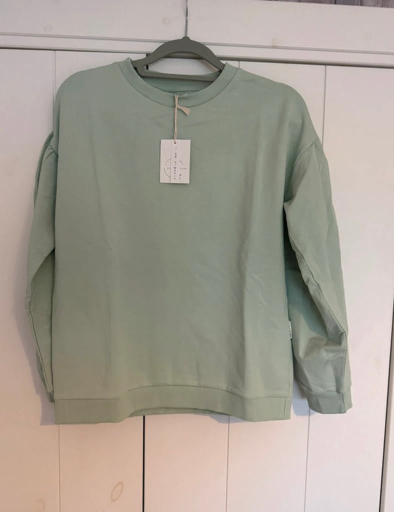 Petit Blush sweater 12Y nieuw, Kinderen en Baby's, Kinderkleding | Maat 152, Ophalen of Verzenden, Nieuw, Meisje, Trui of Vest