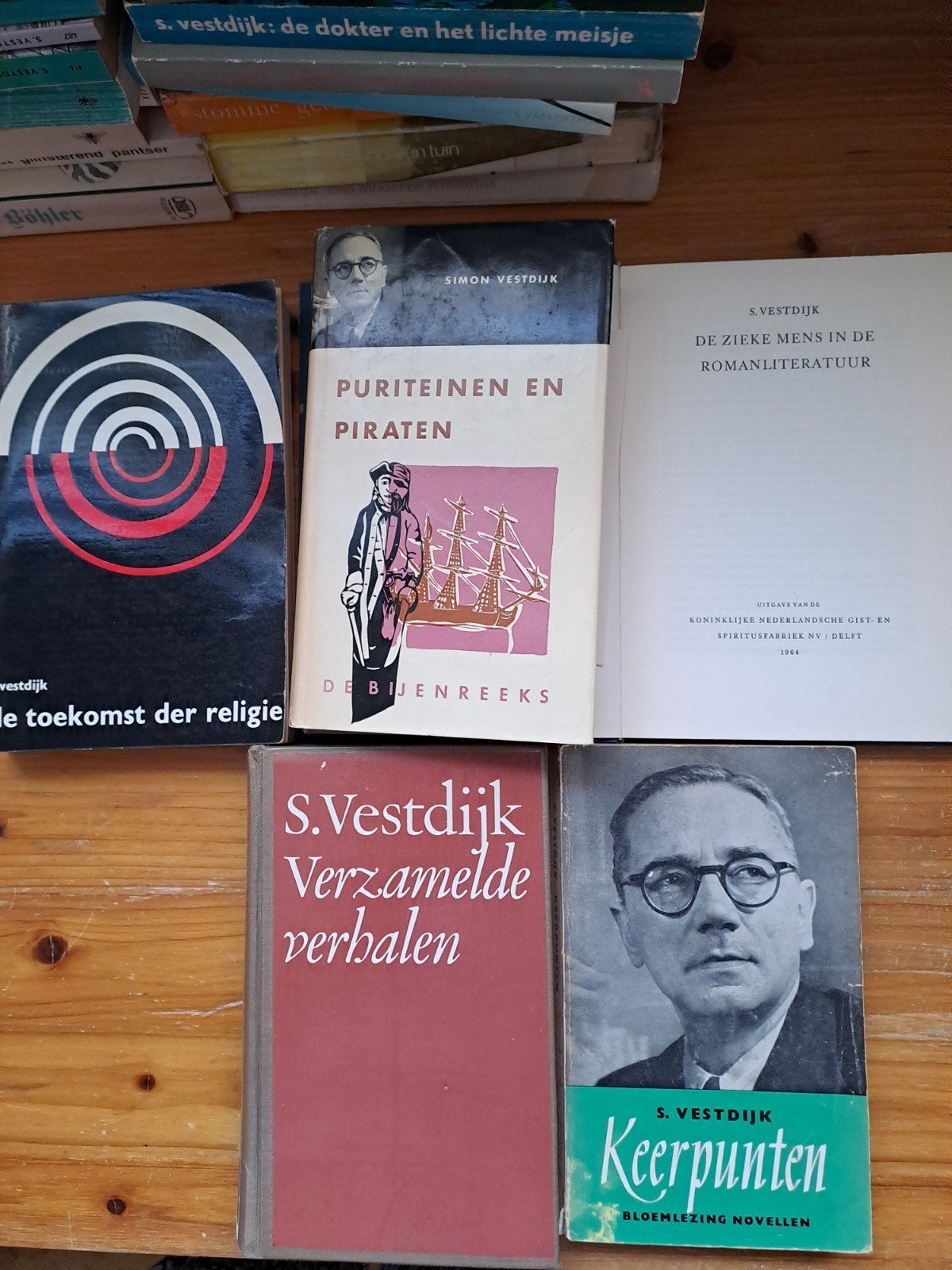Simon Vestdijk, Ophalen of Verzenden, Gelezen