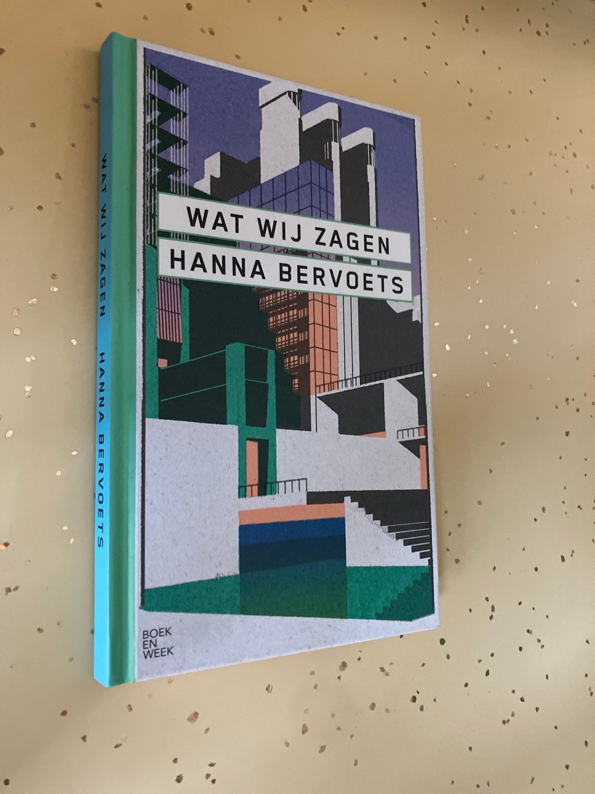 Wat Wij Zagen - Hanna Bervoets (Boekenweekgeschenk), Boeken, Ophalen of Verzenden, Nieuw