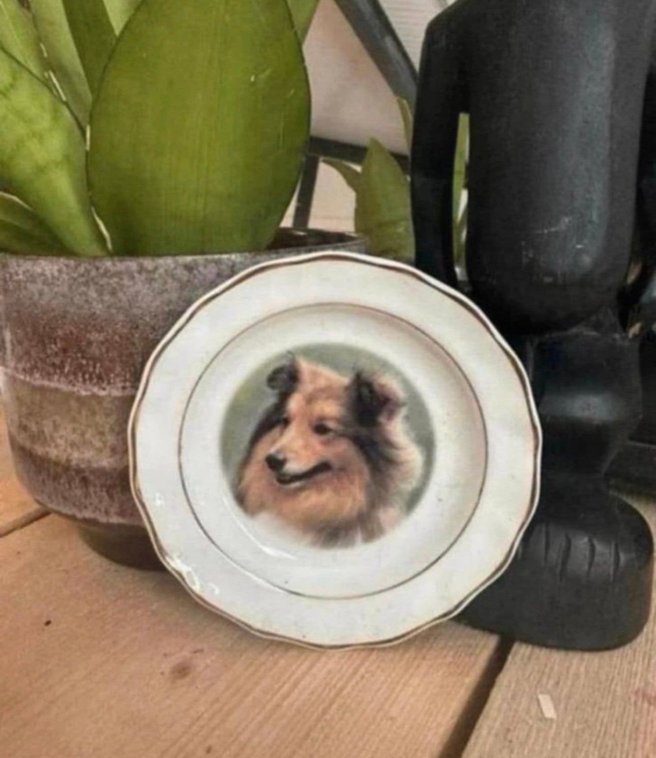 Schoteltje van het merk faithful friends met een sheltie, Ophalen of Verzenden, Zo goed als nieuw