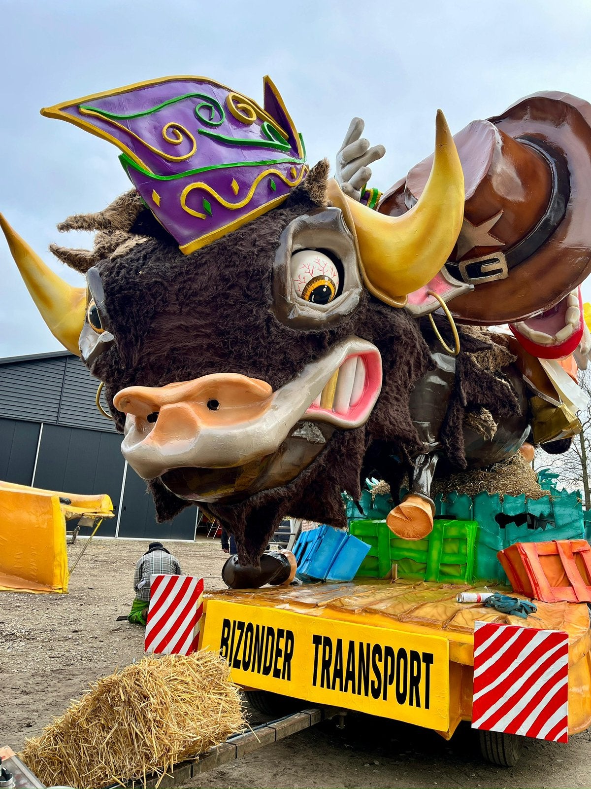 Te koop koppen carnavalswagen, Eén persoon, Overige typen